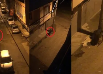 Bursa’da çöp kovalarını böyle çalmaya kalkıştı