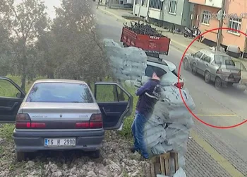 Bursa’da ormanlık alanda kapıları açık halde bulundu