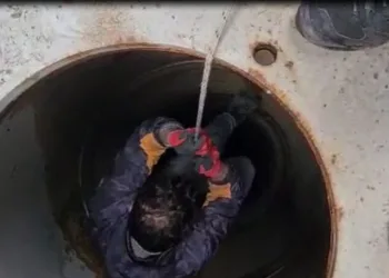 Bursa’da tabela direğine sıkışan leylek kurtarıldı