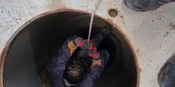 Bursa’da tabela direğine sıkışan leylek kurtarıldı