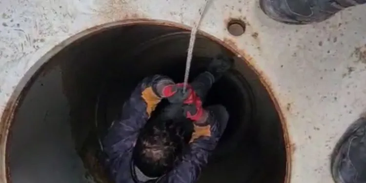 Bursa’da tabela direğine sıkışan leylek kurtarıldı