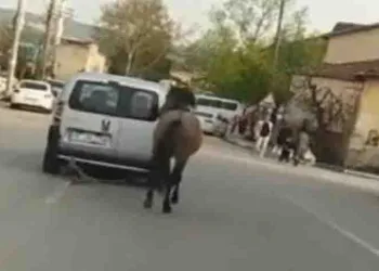 Bursa’da tepki çeken görüntü!