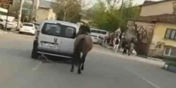 Bursa’da tepki çeken görüntü!