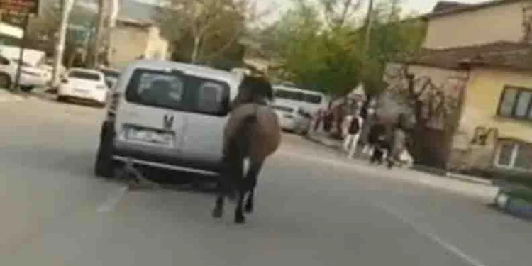 Bursa’da tepki çeken görüntü!