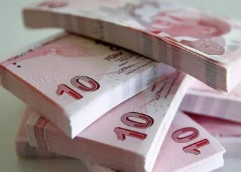 Yeni 10 liralık banknotlar tedavülde