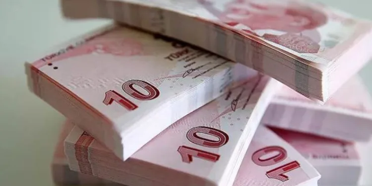Yeni 10 liralık banknotlar tedavülde