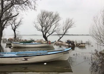 Uluabat Gölü ile ilgili dikkat çeken rapor
