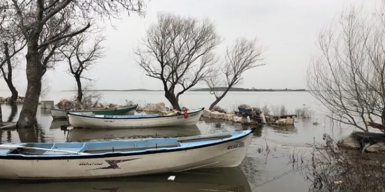 Uluabat Gölü ile ilgili dikkat çeken rapor