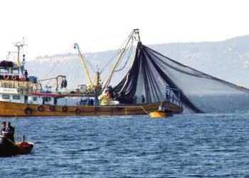 Denizlerde av yasağı başlıyor