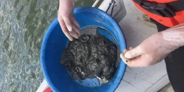 Marmara Denizi’nde, toksik tehlikesi