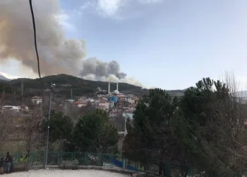 Bursa’da iki farklı noktada orman yangını!