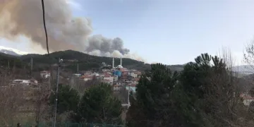 Bursa’da iki farklı noktada orman yangını!
