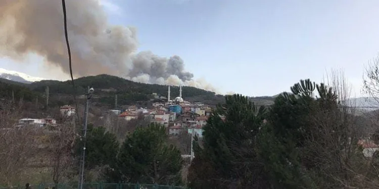 Bursa’da iki farklı noktada orman yangını!