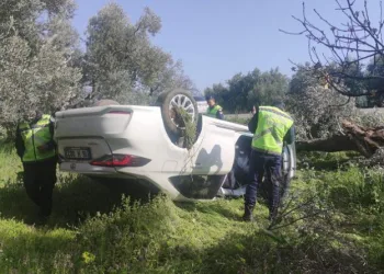 Bursa’da otomobil zeytinliğe uçtu