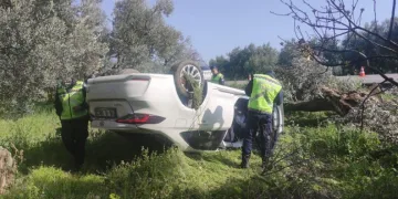 Bursa’da otomobil zeytinliğe uçtu