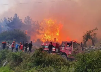Hatay’da orman yangını! 12 saatte kontrol altına alındı