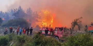 Hatay’da orman yangını! 12 saatte kontrol altına alındı