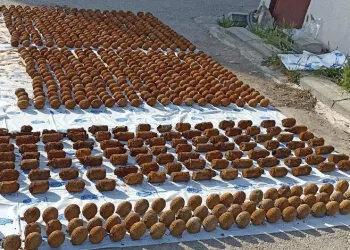 Bina temeli kazısında çıkan bombaların sırrı çözüldü