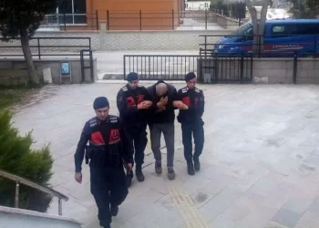 Köprü demirlerini çalan hırsız tutuklandı