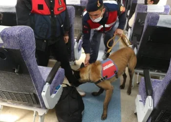 Bursa jandarmasından trende köpekli denetim
