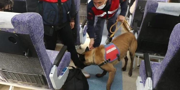 Bursa jandarmasından trende köpekli denetim