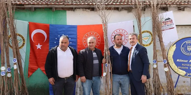 Mudanyalı çiftçiye Trabzon hurması desteği