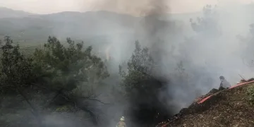 Gemlik’teki orman yangını kontrol altına alındı
