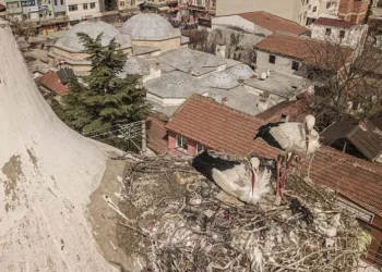 Bursa Yenişehir’de gelenek bozulmadı