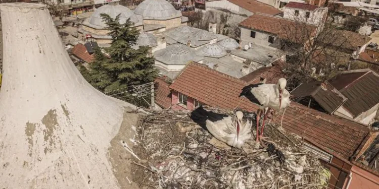 Bursa Yenişehir’de gelenek bozulmadı