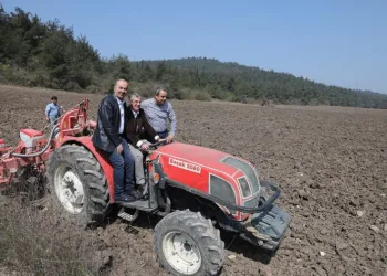 Mudanya’da ayçiçek tohumları toprakla buluştu