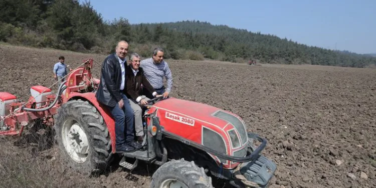 Mudanya’da ayçiçek tohumları toprakla buluştu