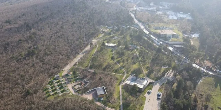 Bursa Yıldırım’ın parkları yaza hazır