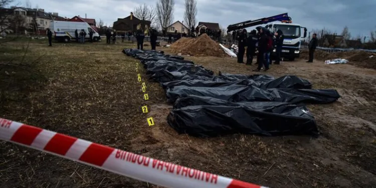 Toplu mezardaki cansız bedenler çıkartıldı