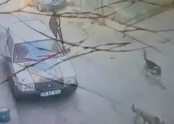 Bursa’da yolda yürürken köpeğin saldırısına uğradı