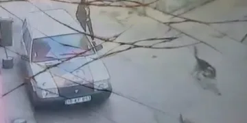 Bursa’da yolda yürürken köpeğin saldırısına uğradı