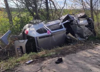 Domuza çarpmamak için manevra yaptı, canından oldu