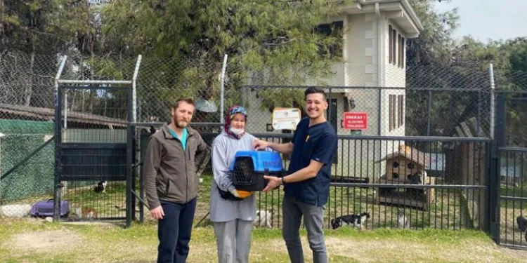 Osmangazi’de 78 can dost sıcak yuvaya kavuşturuldu