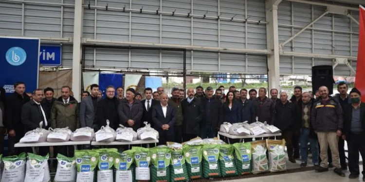 Büyükorhanlı çiftçiye fidan ve tohum desteği