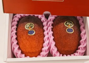 2 adet mango 58 bin liraya satıldı