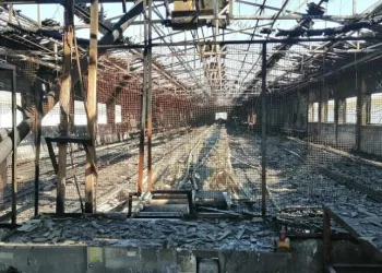 Bursa’da 4 bin tavuk yanarak telef oldu