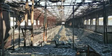 Bursa’da 4 bin tavuk yanarak telef oldu