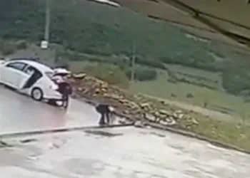 Bursa’da mazgal hırsızlığı! Otomobile yükleyip kaçtılar