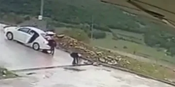 Bursa’da mazgal hırsızlığı! Otomobile yükleyip kaçtılar