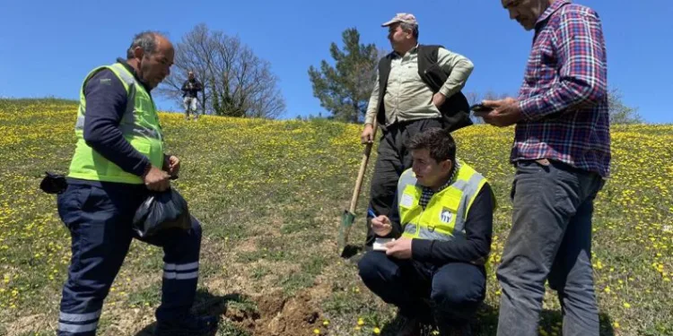 Mustafakemalpaşa Belediyesi’nden çiftçilere bamya tohumu