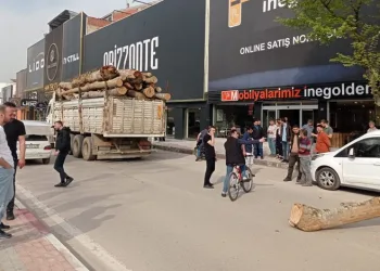 Kamyondan düşen tomruk araçlara zarar verdi