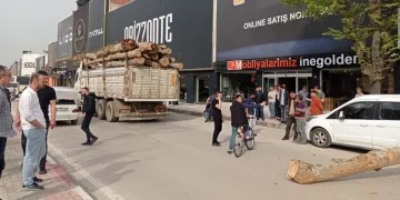 Kamyondan düşen tomruk araçlara zarar verdi