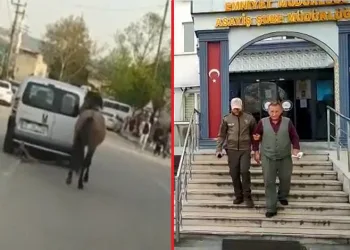 Bursa’da tepki çeken görüntüler cezası kalmadı