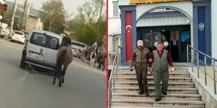 Bursa’da tepki çeken görüntüler cezası kalmadı