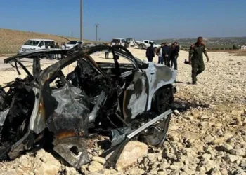 MİT’ten Kobani’de nokta operasyon
