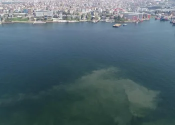 Müsilaj geri mi dönüyor?